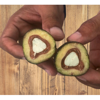 Pili-nuts peeled 100 gr